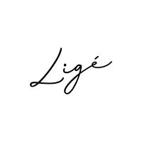 Ligé logo - Similar company to Capital Continuity - Bips Hybrid Cloud Protector