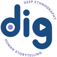 dig logo - Similar company to Visual Tv