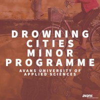 Drowning Cities Minor Programme logo - Similar company to Institute Of Smart City And Management