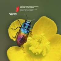 Service des forêts, de la nature et du paysage de l'Etat du Valais logo - Similar company to Infoflora