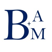 -BAM - logo - Similar company to Infinycup