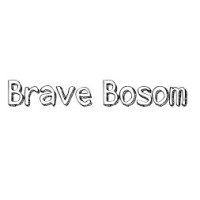 Brave Bosom logo - Similar company to Data Strategy Advisors, Llc