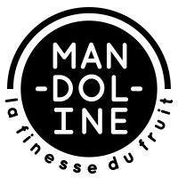 MANDOLINE logo - Similar company to Extra News Inc
