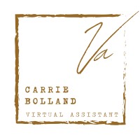 Carrie Bolland VA & Associates logo - Similar company to Outsauced Media