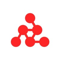 Nucleosight logo - Similar company to Intelnets