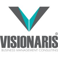 VISIONARIS Management Consulting logo - Similar company to Silni