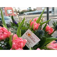 Les Fleurs De Caroline