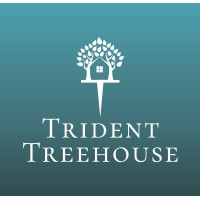 Trident Treehouse Business Consultancy logo - Similar company to Geonet.Properties