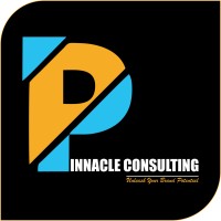 Pinnacle Consulting logo - Similar company to Solution 2Needs Technical & Consultancy Services