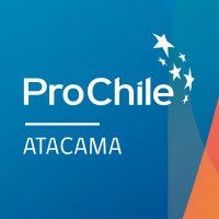 ProChile Atacama logo - Similar company to Docpyme