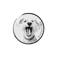 Voice Marketing logo - Similar company to Docology