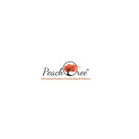 Peachtree International Academy logo - Similar company to Skin Clinic