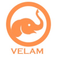 Velam Infotech logo - Similar company to Mlds Analytics