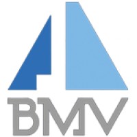 BMV CONSULTORES ASOCIADOS SAS logo - Similar company to Rise Latam