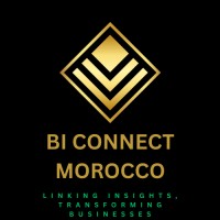 BI Connect Morocco logo - Similar company to 3Dware Morocco