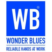 Wonderblues Apparels Private Limited logo - Similar company to Raised On Denim