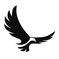 Buzzard Group logo - Similar company to Tryka