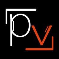 Pro-Views logo - Similar company to Indizine Solutions