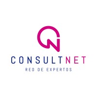 Consultnet Srl logo - Similar company to Consultnet Llc