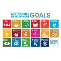Sustainable Development Goals (SDG) Group, Ogbomosho North, Oyo State, Nigeria logo - Similar company to New Label Production.