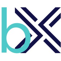 BX Partners logo - Similar company to Index One