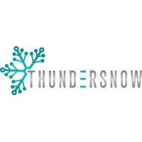ThunderSnow Industries Corporation logo - Similar company to Hellebore (A Linquest Company)