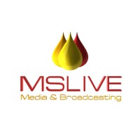 Mslive MediaCorp logo - Similar company to Coloured Castle