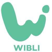 Wibli logo - Similar company to Daullja