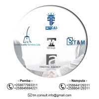 T&M Grupo logo - Similar company to Wayup.Gg