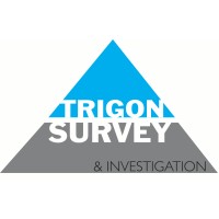 Trigon Survey & Investigation Ltd logo - Similar company to Dfp Construction Ltd