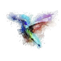 Proemotiongo logo - Similar company to Grandalab: Tech. Social. Web.