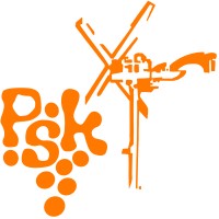 Prleski studentski klub logo - Similar company to Zveza Škis