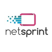 NETSPRINT logo - Similar company to Protech Webmaster & Communication