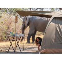 Kabira Safaris & Tours Africa logo - Similar company to Ecruising Pty Ltd
