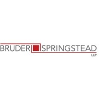 Bruder Springstead LLP logo - Similar company to Cloudstudios