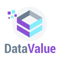 Datavalue logo - Similar company to Valuedata Bv