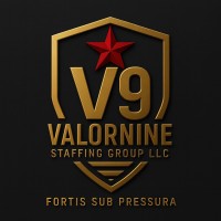 ValorNine Staffing Group LLC logo - Similar company to Color World Printers