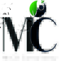 MiCO Consultancy logo - Similar company to Migo Group