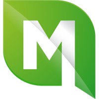 MINTT Global logo - Similar company to Flagship One, Inc