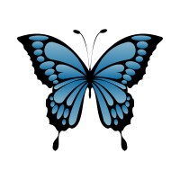Morpho Marketing