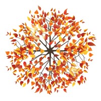 Melissa Morton Garden Design Studio logo - Similar company to Sbc Studio