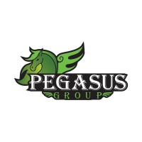 Pegasus Storage Solutions logo - Similar company to Atlantic Hills Cold Storage