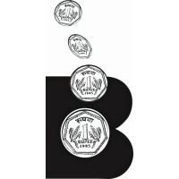 Bhandarkar Investments Services logo - Similar company to Bconnect