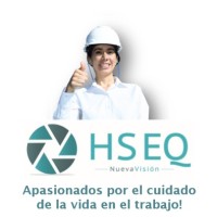 HSEQ Nueva Visión logo - Similar company to Hseq Support Ltd