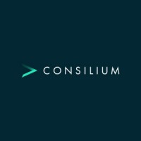 Consilium Insurance Brokers logo - Similar company to Mulberry Risk Limited