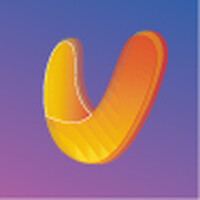 Vibra Mobile logo - Similar company to Plakks