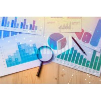RNB  market Research logo - Similar company to Data Insights G