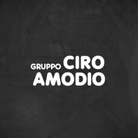 Gruppo Ciro Amodio logo - Similar company to Ciro Amodio Srl