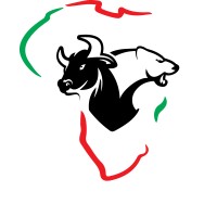 Adesal FX logo - Similar company to Forex Signal Unity