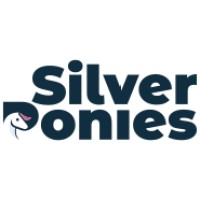 Silver Ponies Web logo - Similar company to Bapbap